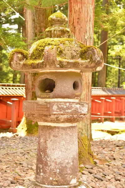 DSC_3854 (Large).JPG